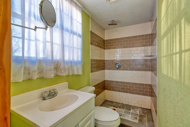 a bathroom with a sink toilet and shower