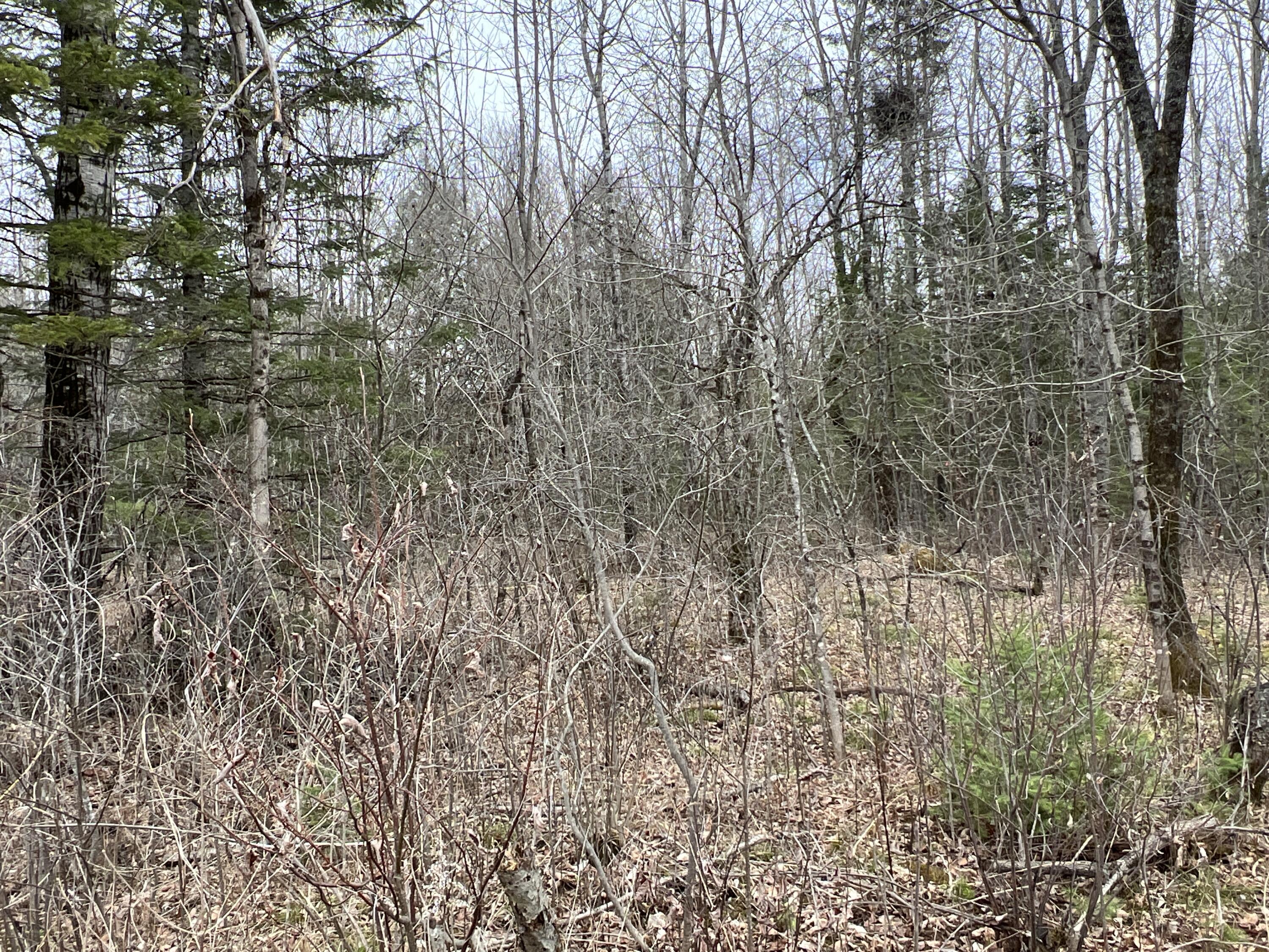 Lot 5-9 Grindstone Road Medway, ME 04460 - Photo 14 of 16 IMG_4122