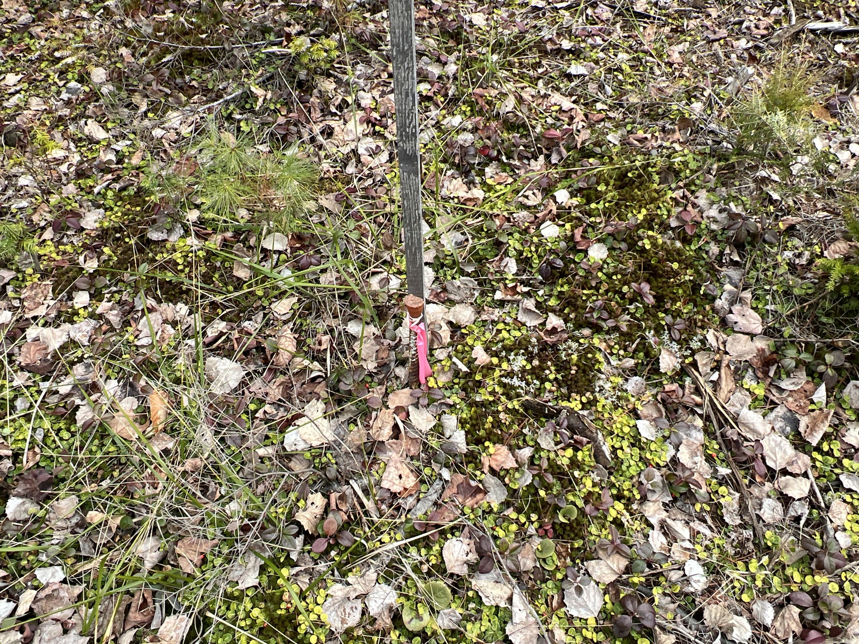 Lot 5-9 Grindstone Road Medway, ME 04460 - Photo 6 of 16 IMG_4114