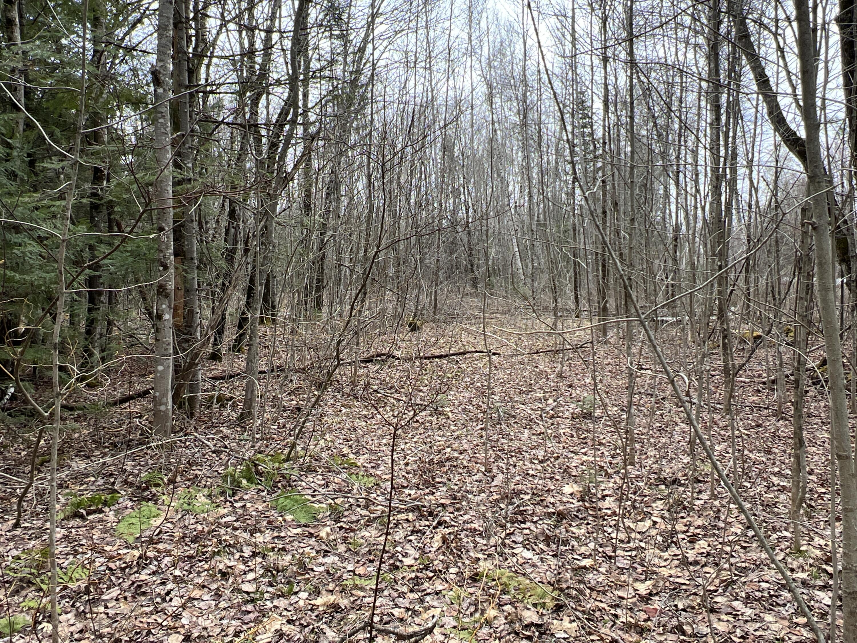 Lot 5-9 Grindstone Road Medway, ME 04460 - Photo 7 of 16 IMG_4115