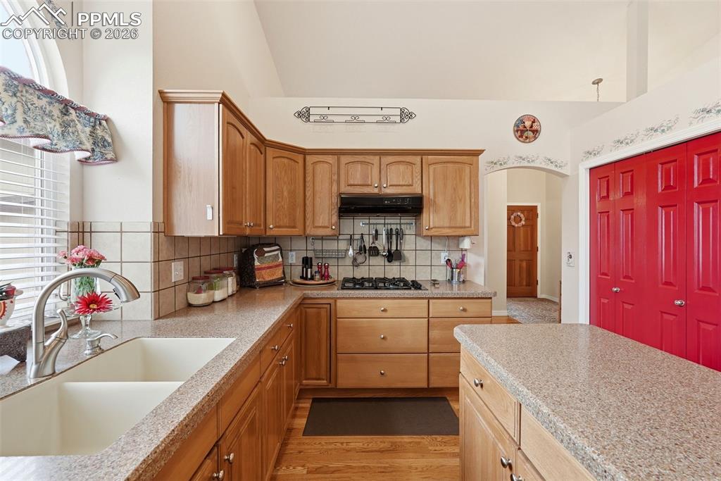 16261 Hobson Place Monument, CO 80132 - Photo 12 of 50 a kitchen with a sink stove top oven and refrigerator
