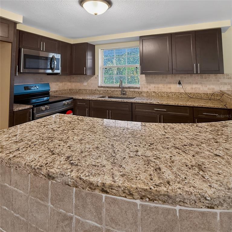 17220 Estes Road Lutz, FL 33548 - Photo 16 of 25 a kitchen with granite countertop a stove a sink and a microwave