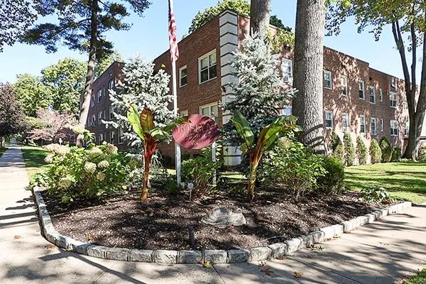 a backyard of a building with trees