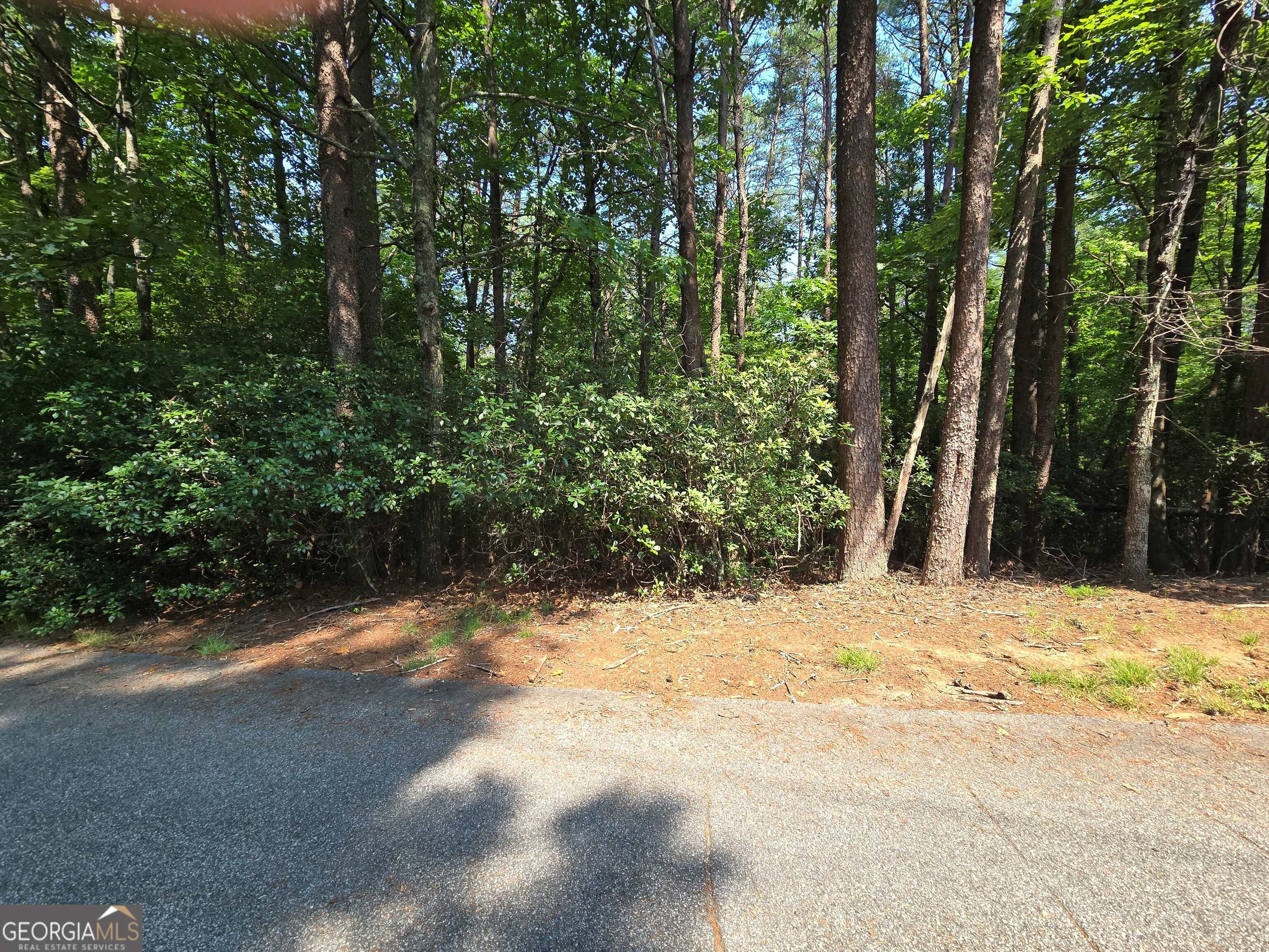 C2 Quail Run Sautee Nacoochee, GA 30571 - Photo 5 of 17