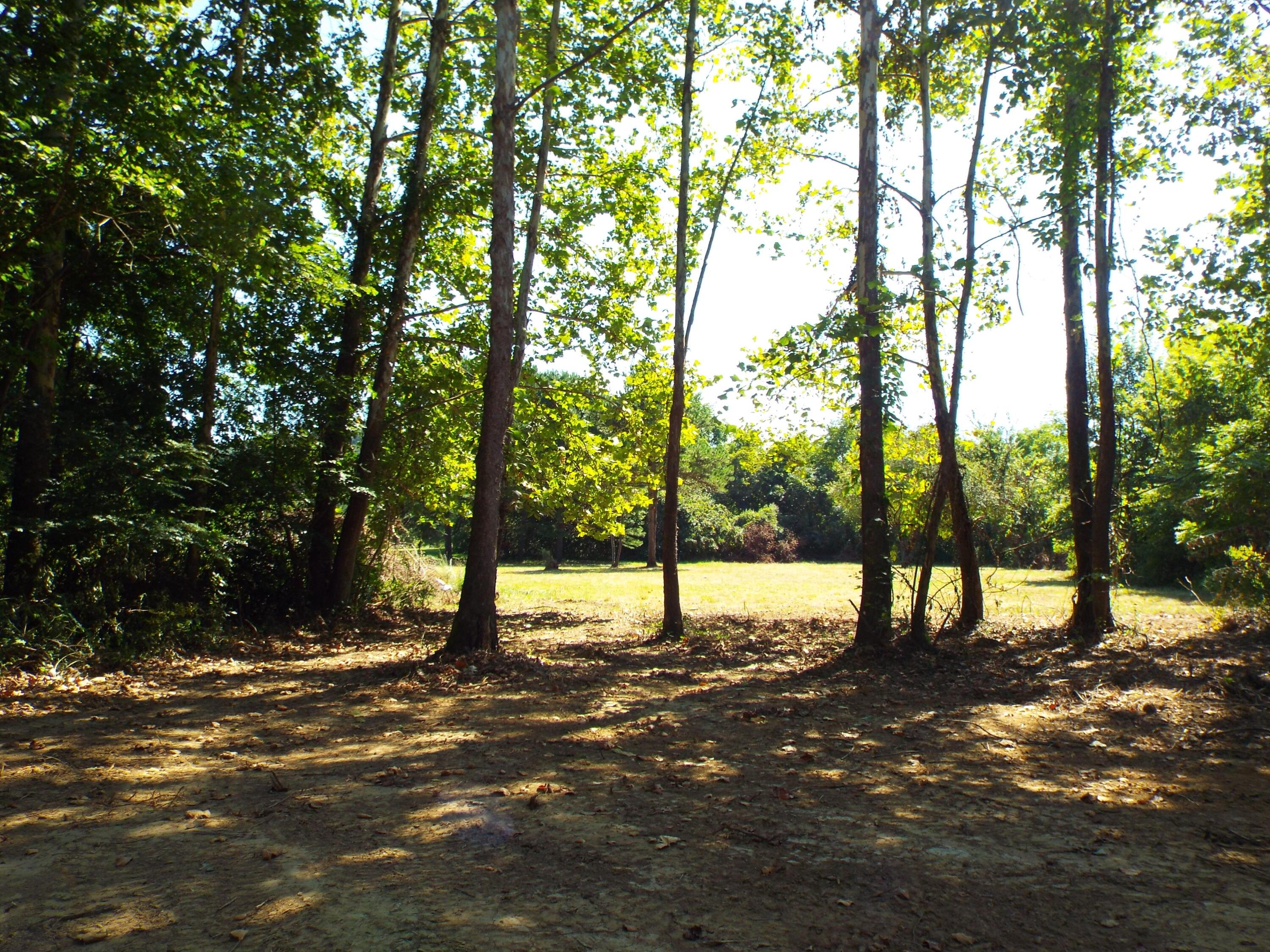 17687 Laurel Run Road Nelsonville, OH 45764 - Photo 19 of 20 Land