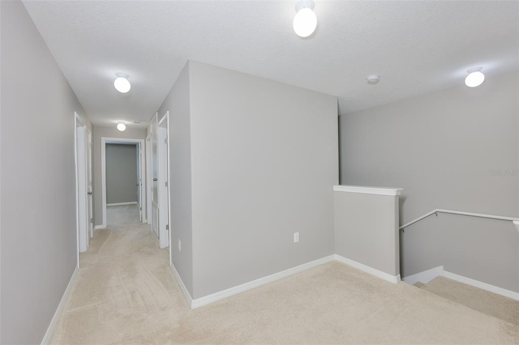 6330 Lantern View Place Apollo Beach, FL 33572 - Photo 18 of 64