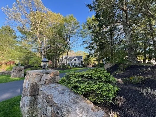 a view of a yard with plants and trees