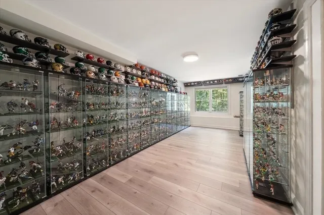 walk in closet with wooden floor