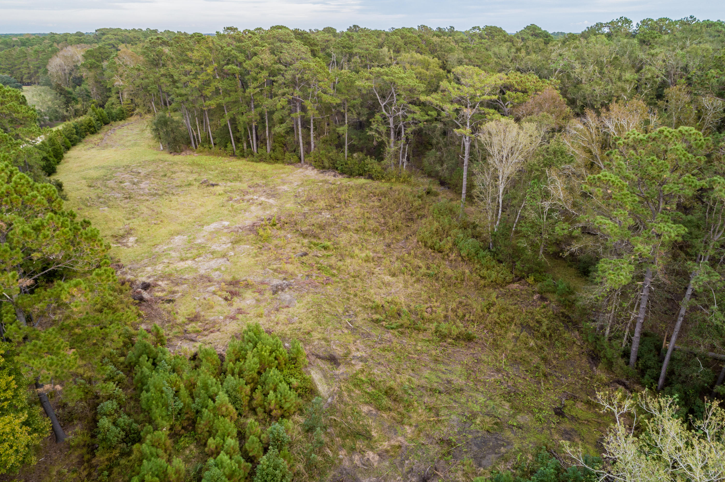 42 Josie Ridge Road Wadmalaw Island, SC 29487 - Photo 14 of 18 Right Side - 42 Josie Ridge Road