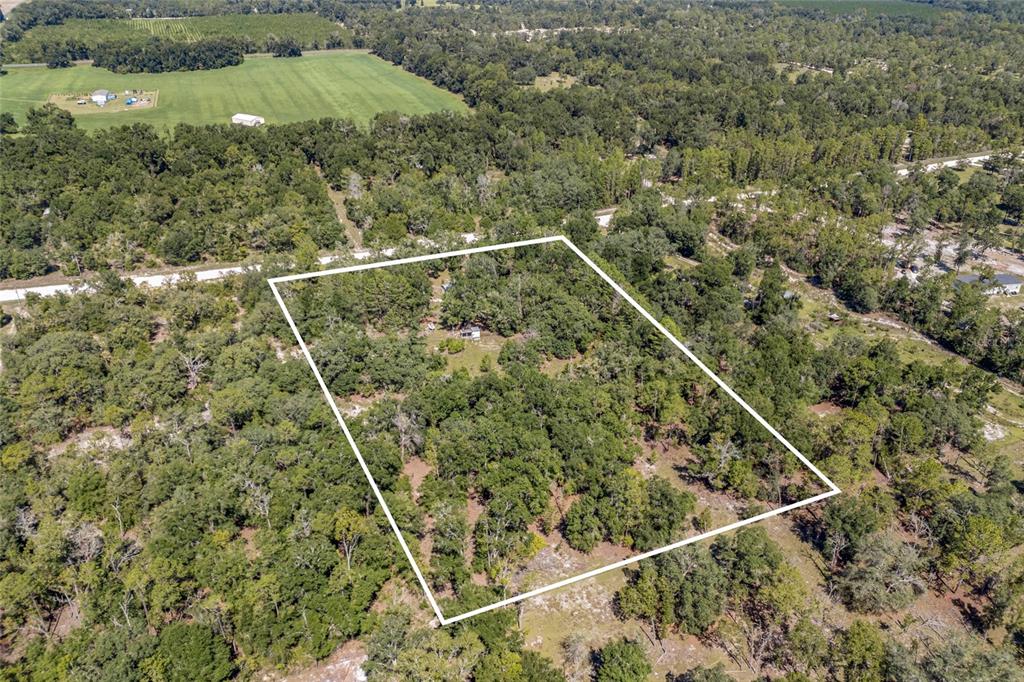 4140 Northwest 31st Avenue Bell, FL 32619 - Photo 19 of 19