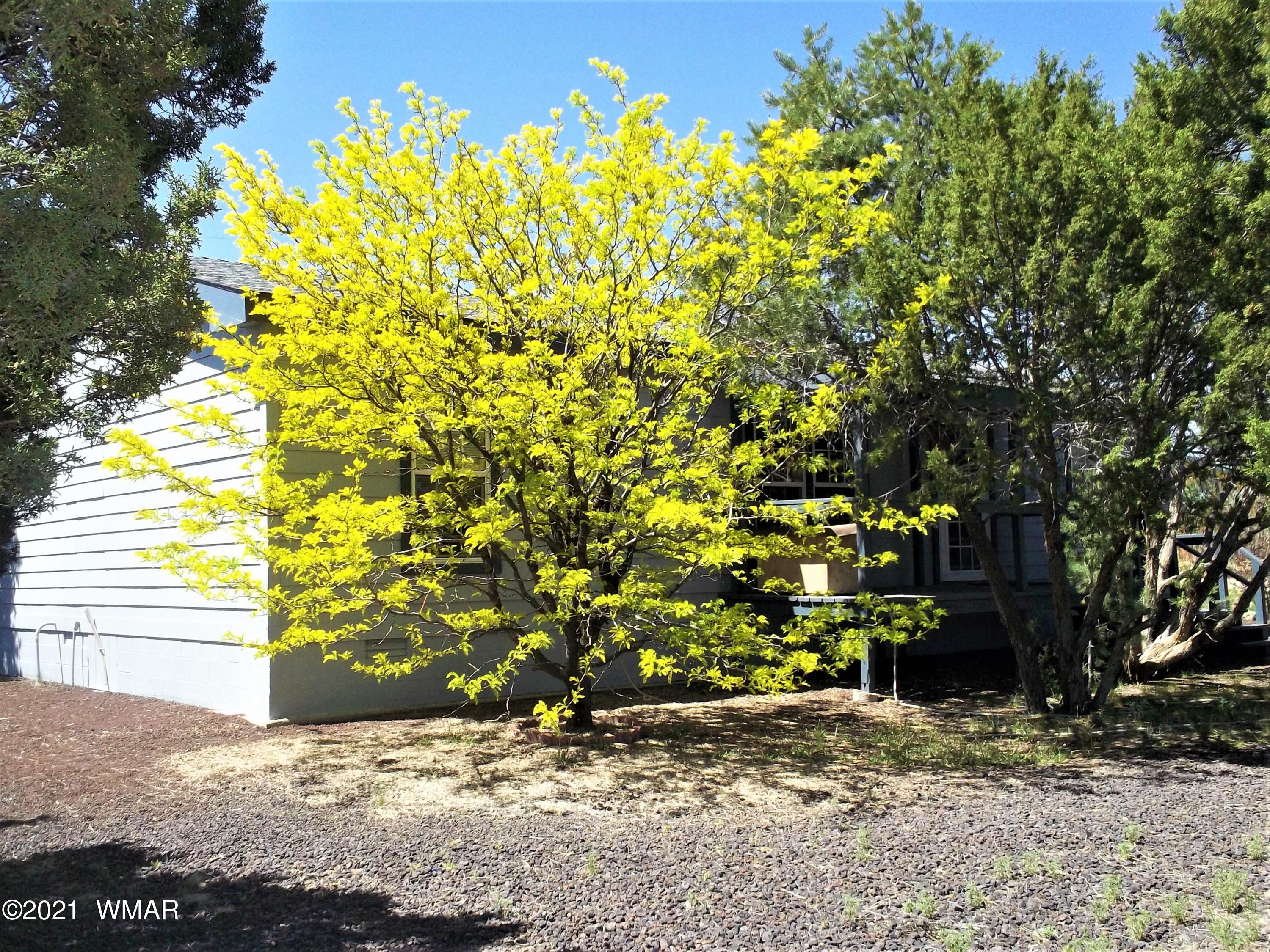6 N3097 Vernon, AZ 85940 - Photo 2 of 40 a backyard of a house with large trees