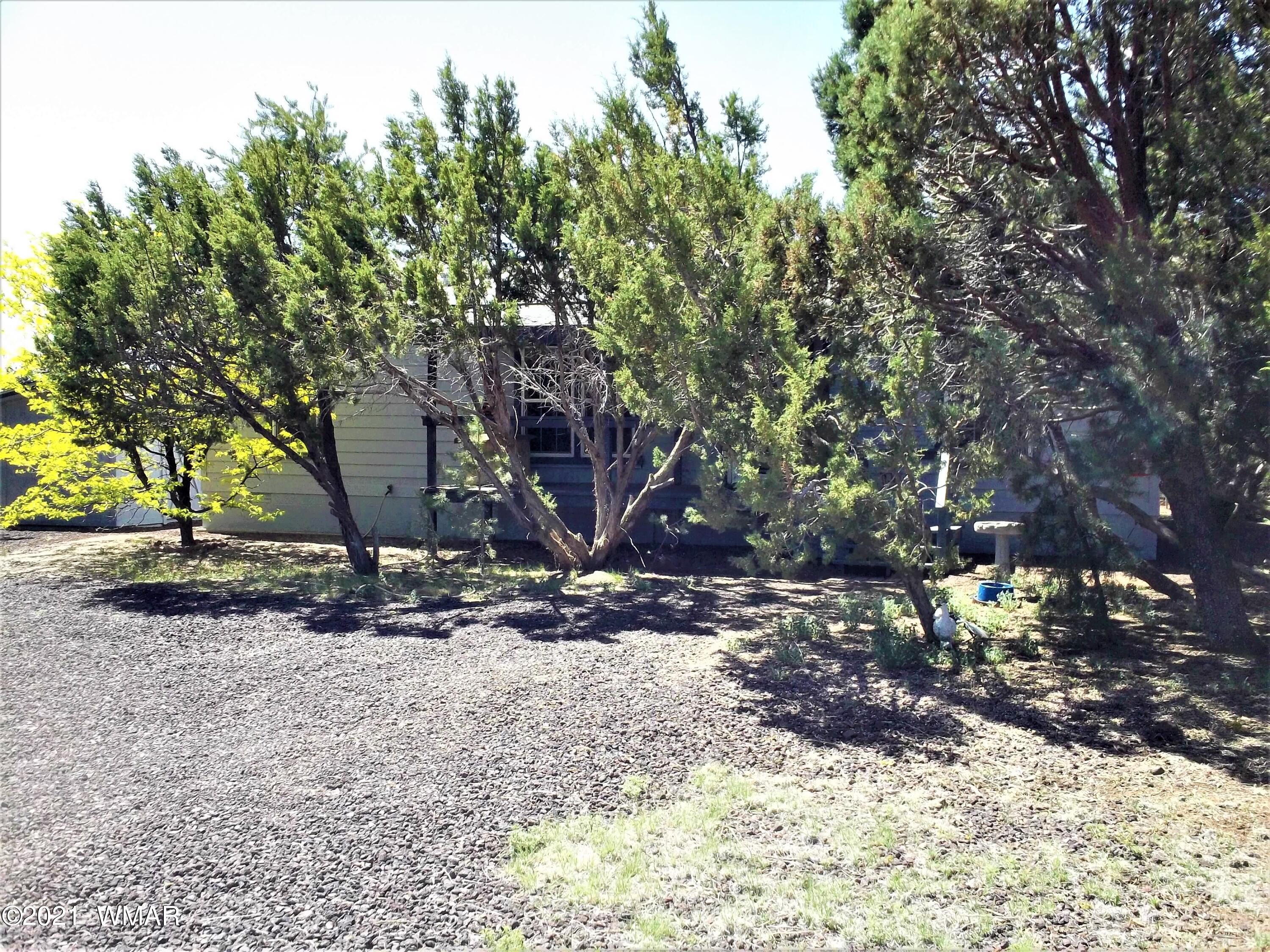 6 N3097 Vernon, AZ 85940 - Photo 4 of 40 a view of a tree with a yard