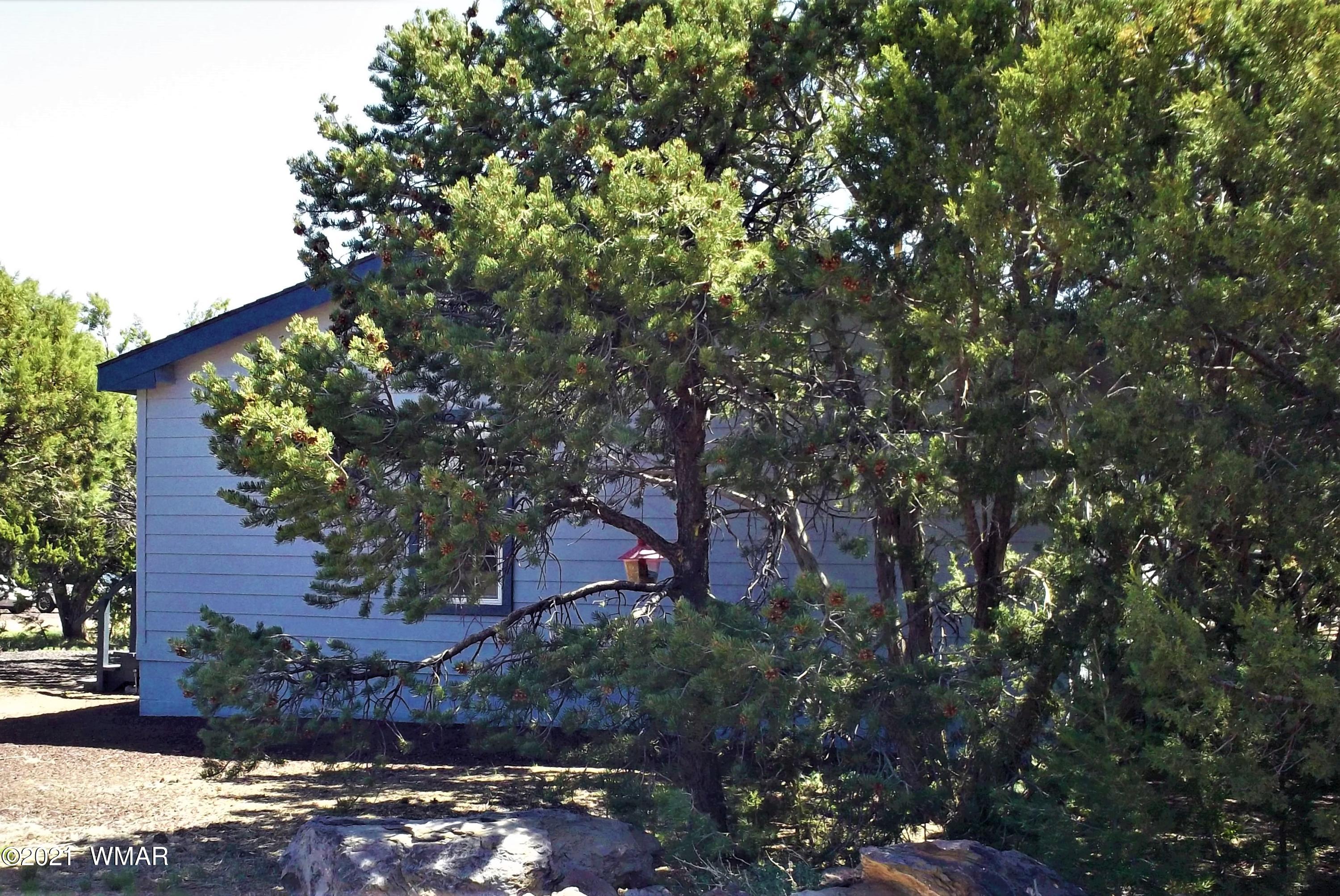 6 N3097 Vernon, AZ 85940 - Photo 9 of 40 a picture of tree