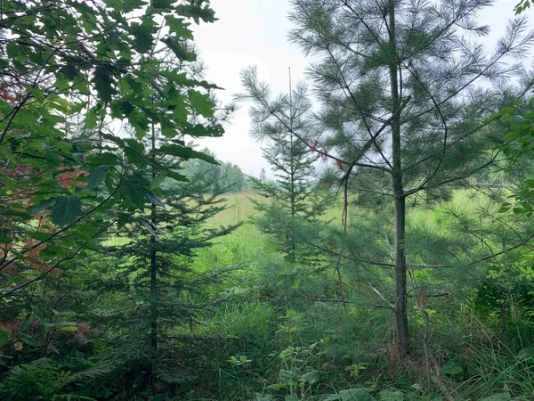 $239,777 | 3277 East Highway 210, Sawyer, MN 55780