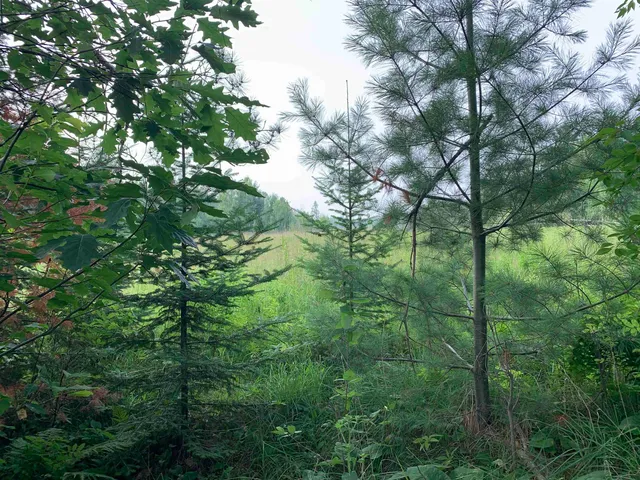 $239,777 | 3277 East Highway 210, Sawyer, MN 55780