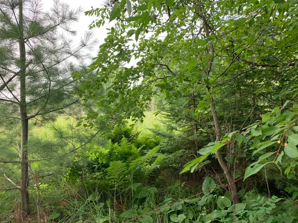 $239,777 | 3277 East Highway 210, Sawyer, MN 55780