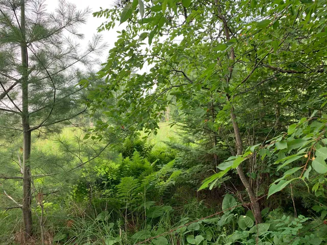 $239,777 | 3277 East Highway 210, Sawyer, MN 55780