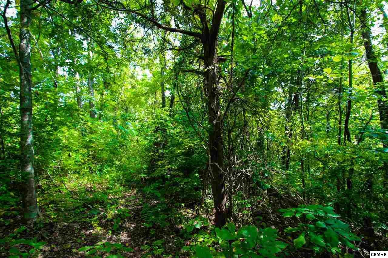 25 Lower Rinehart Road Dandridge, TN 37725 - Photo 24 of 27 Gallery Image 24