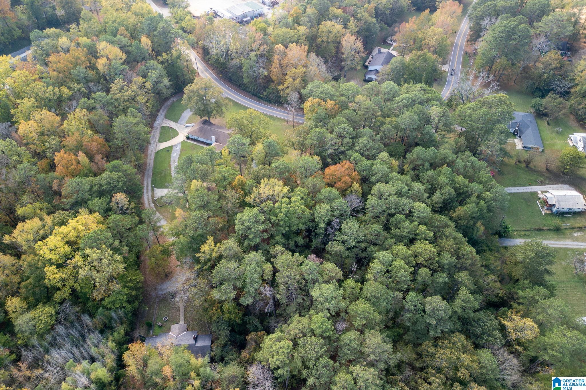 905 Old Grants Mill Road Birmingham, AL 35210 - Photo 47 of 57