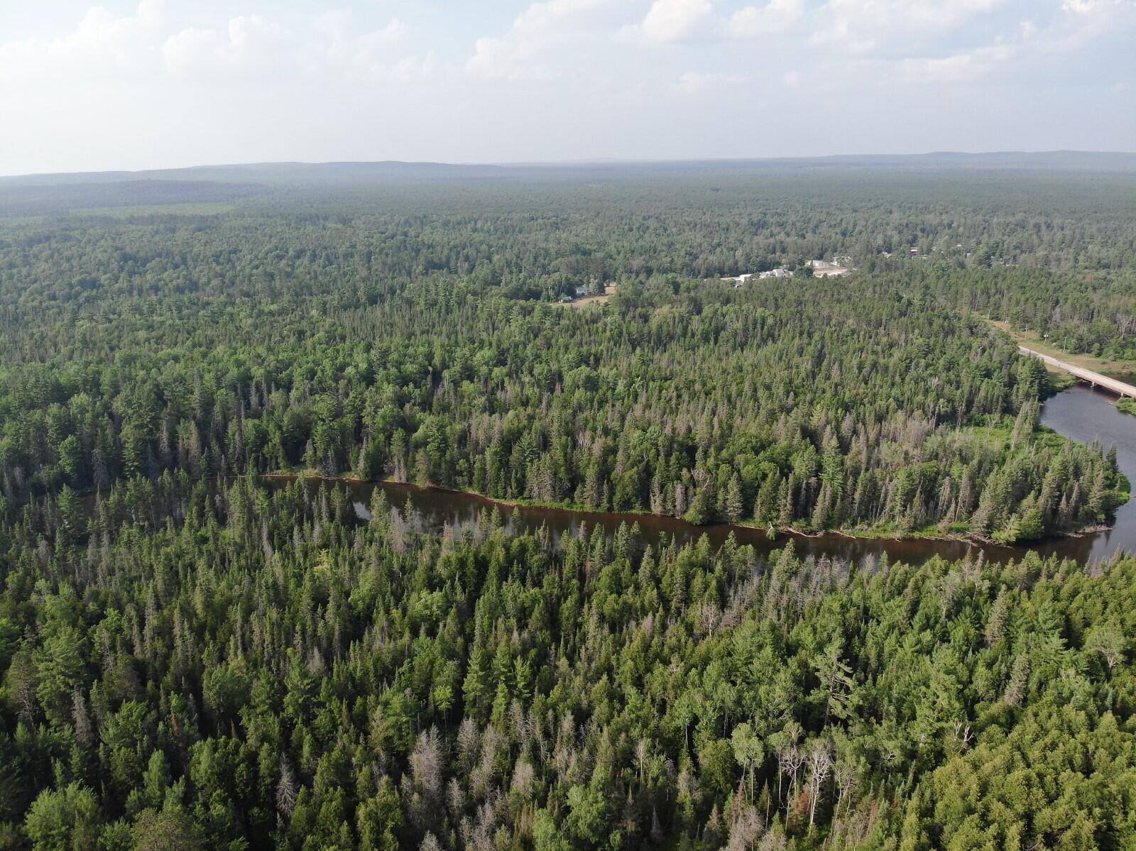 4650 Mc Kinley Road Mio, MI 48647 - Photo 72 of 79 4650_Drone60
