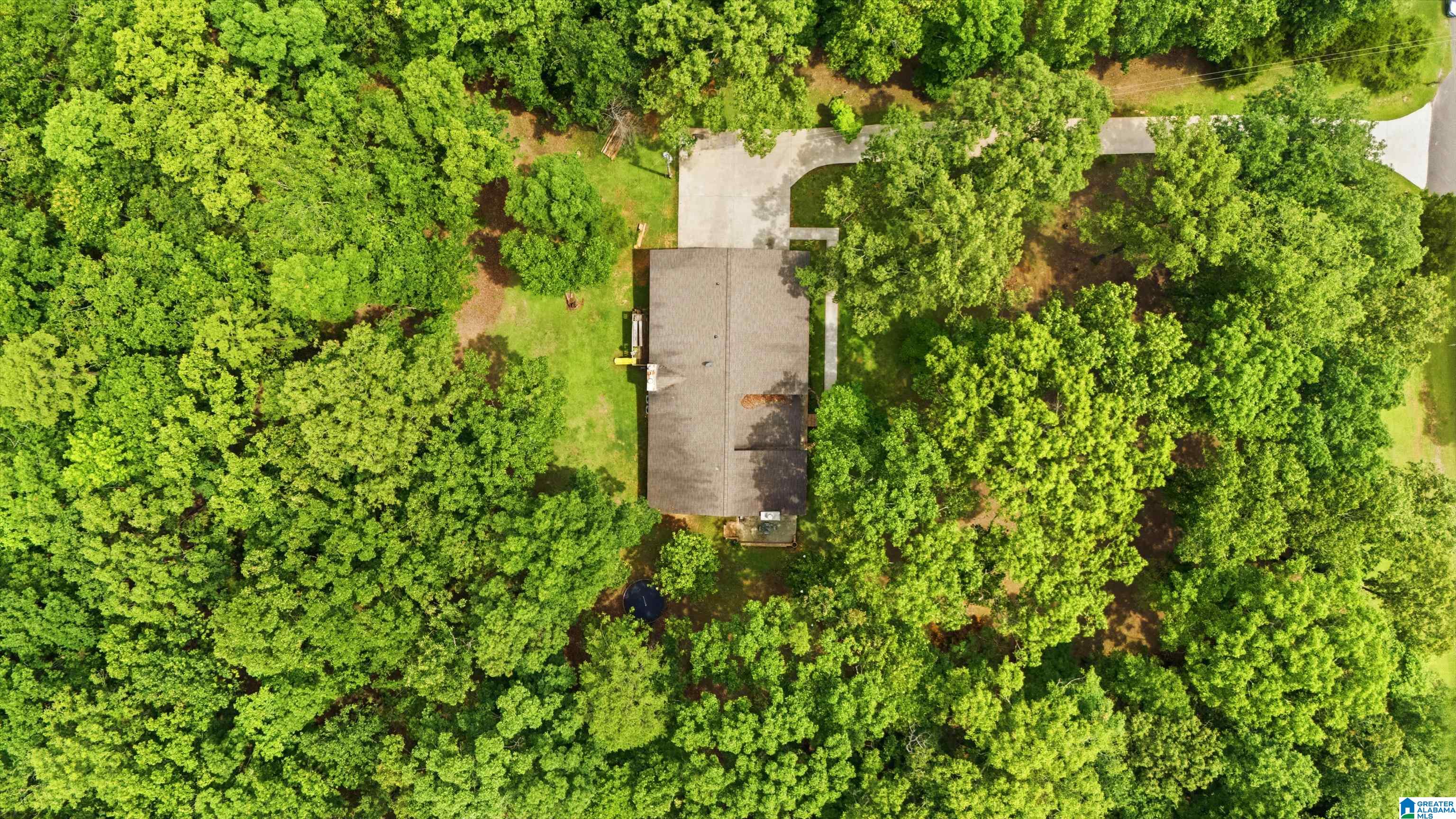231 Country Ridge Road Montevallo, AL 35115 - Photo 51 of 60