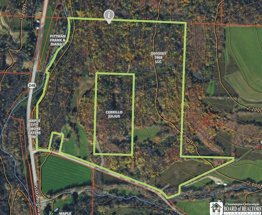1471 Loomis Road Rexville, NY 14877 - Photo 4 of 50