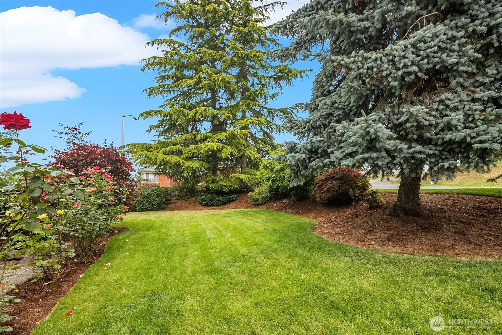 2907 Cedar Avenue South Renton, WA 98055 - Photo 3 of 40 Gallery Image 3