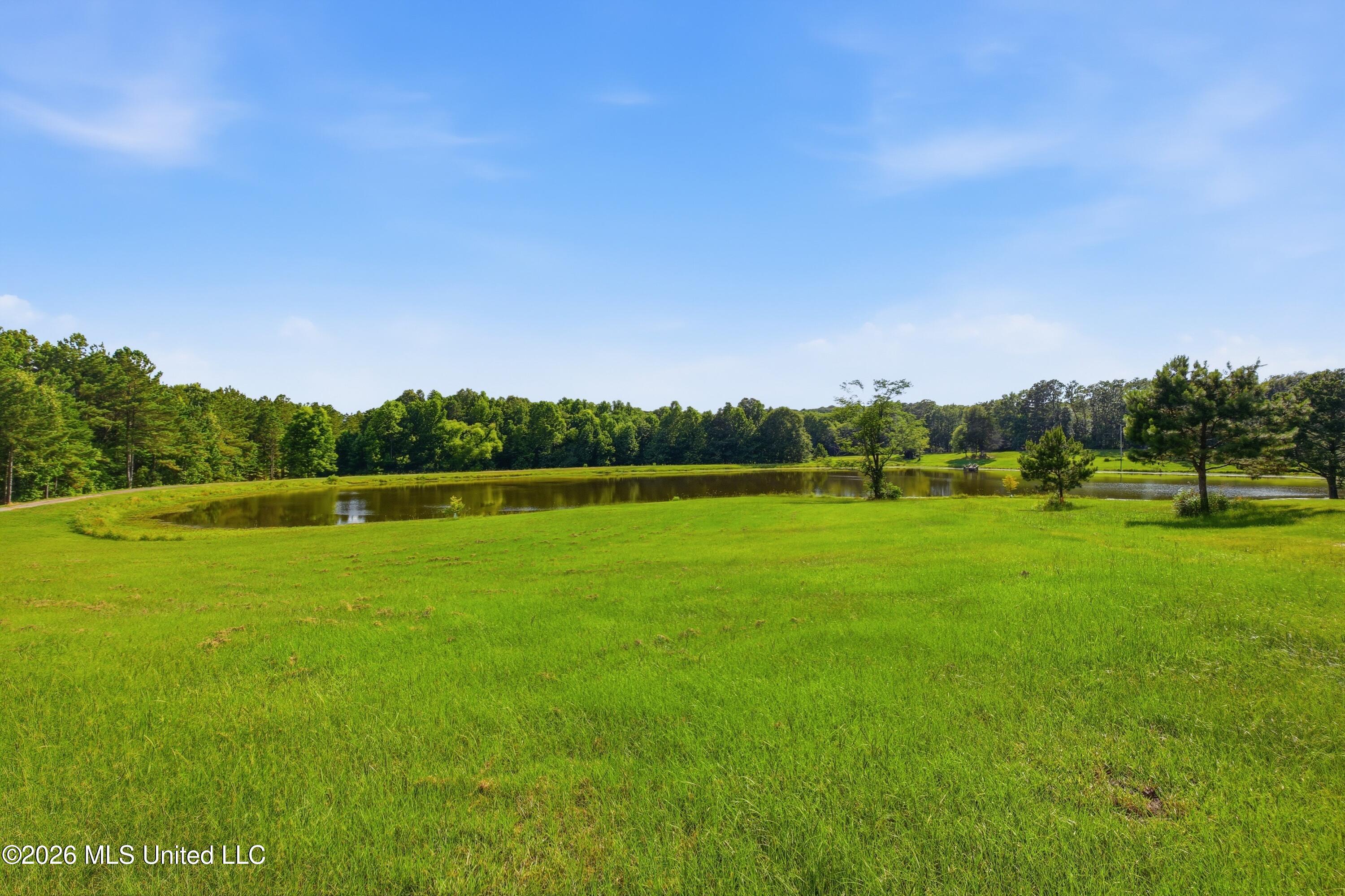 683 Cedar Hill Road Flora, MS 39071 - Photo 63 of 97 091-683 Cedar Hill Rd _ Hometoursms.com