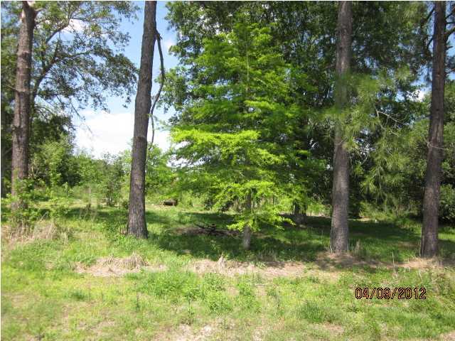 15316 Gordon Road Rayne, LA 70578 - Photo 1 of 1 Primary Photo