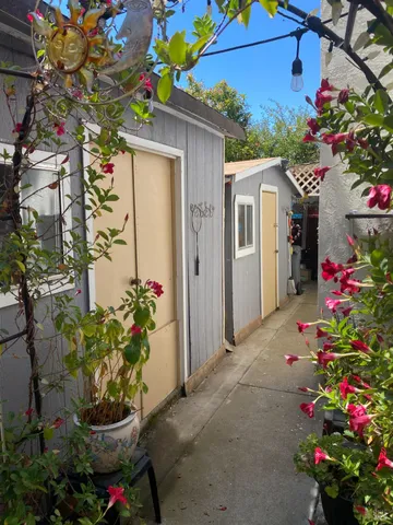 a view of outdoor space yard and patio