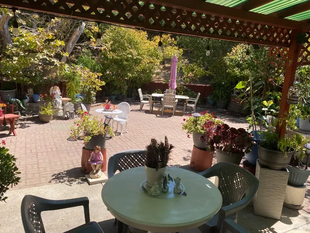 a bunch of flowers are in a small yard