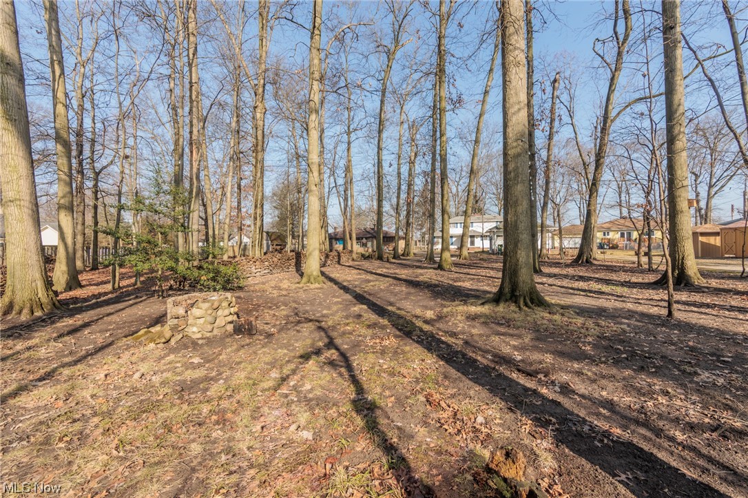 12273 Huffman Road Cleveland, OH 44130 - Photo 45 of 46 Huge Yard! This photo is only about halfway back on the property!