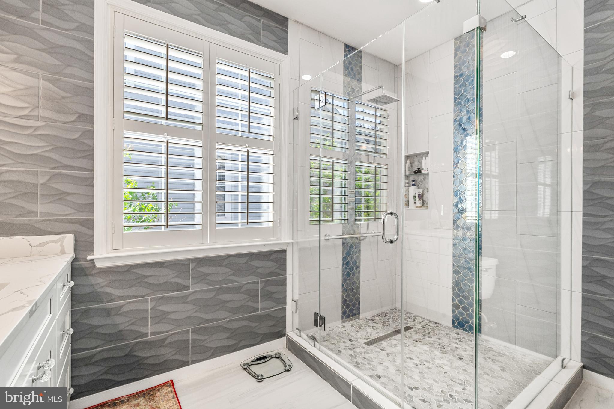 13514 Ryton Ridge Lane Gainesville, VA 20155 - Photo 25 of 63 Primary shower stiall