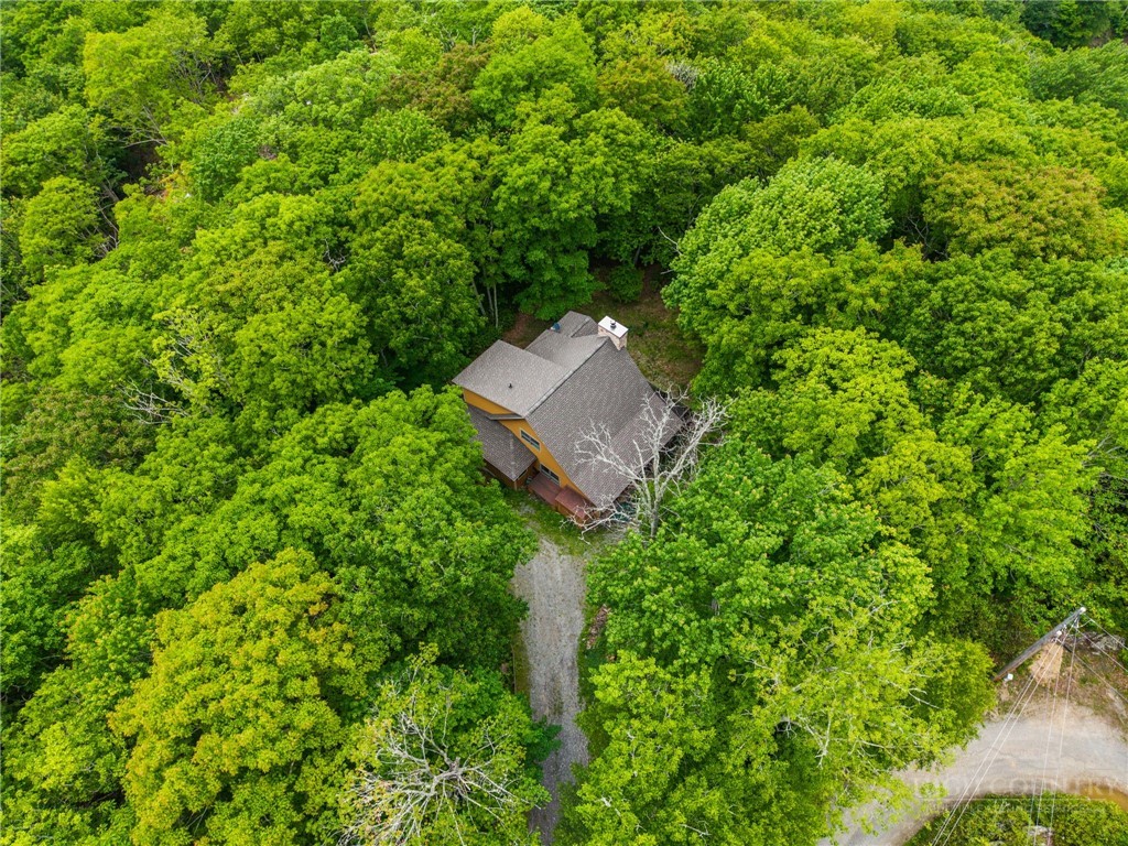 405 Snowridge Road Banner Elk, NC 28604 - Photo 43 of 50
