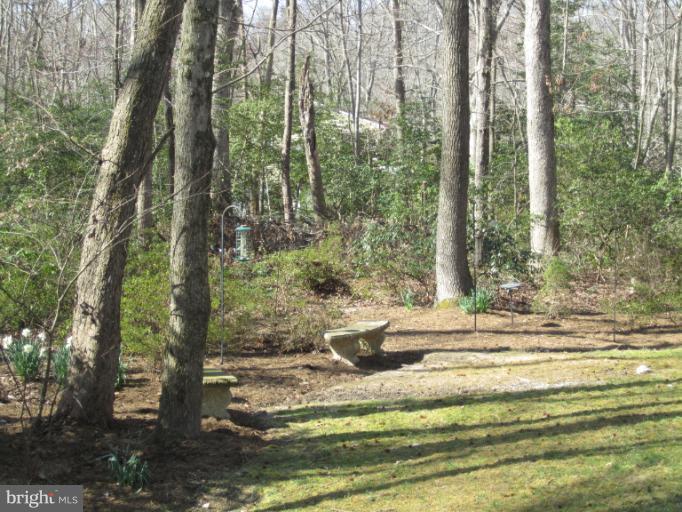10330 3 Doctors Road Dunkirk, MD 20754 - Photo 22 of 30 View