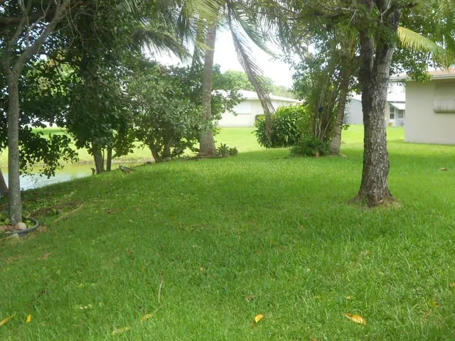 a view of back yard of the house