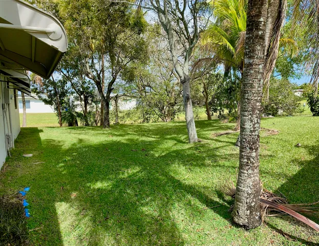 a view of a park with large trees