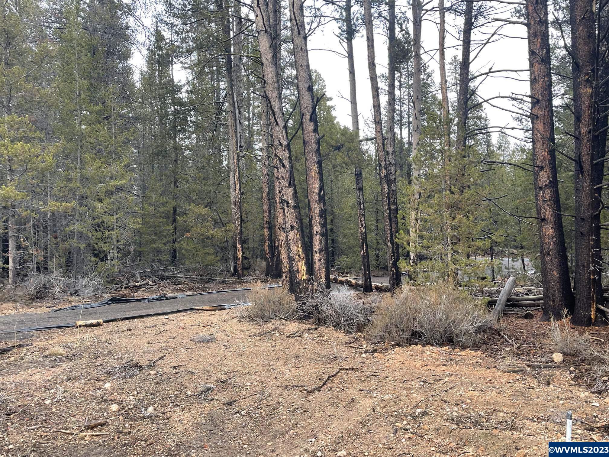 500 Cloudcap Drive Chiloquin, OR 97624 - Photo 20 of 23