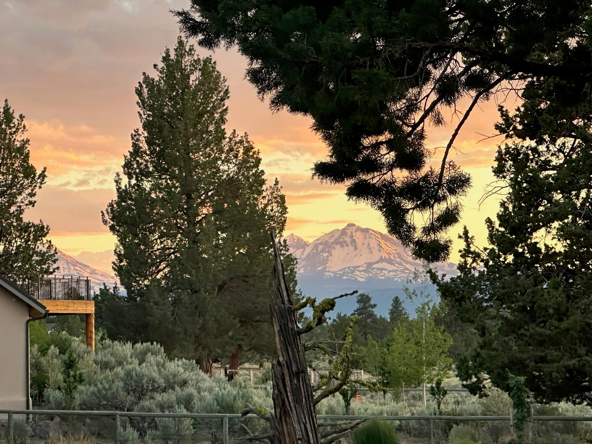 Mountain Views