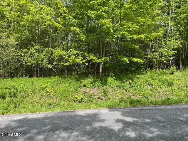 L9 Harrington Road Gilboa, NY 12076 - Photo 3 of 27 IMG_5405