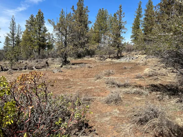 $12,500 | Lot 19 Nighthawk Drive, Bonanza, OR 97623