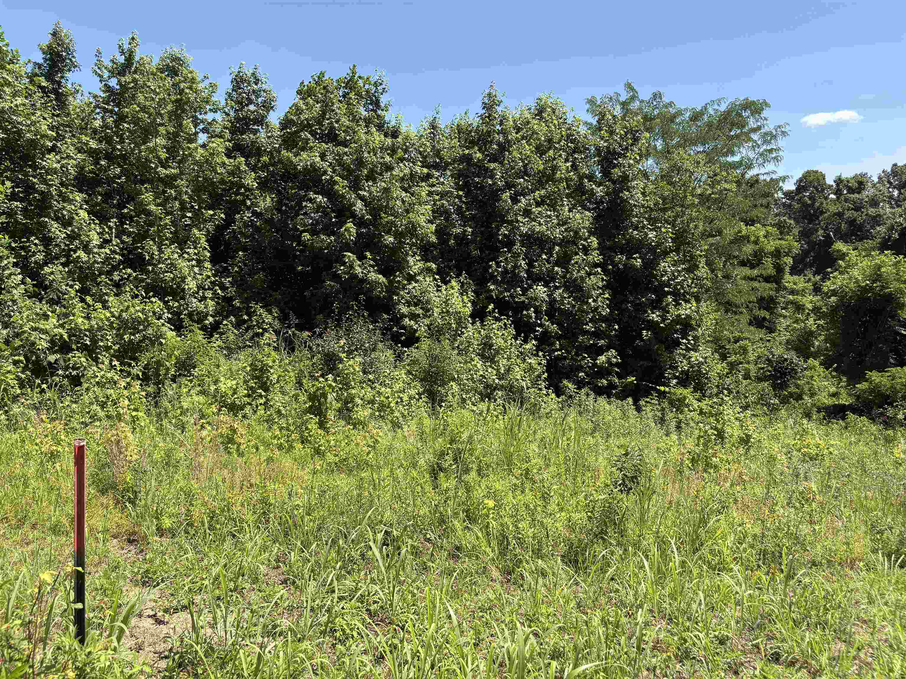 0 Walsh Road, Unit LOT 2 Millington, TN 38053 - Photo 6 of 9