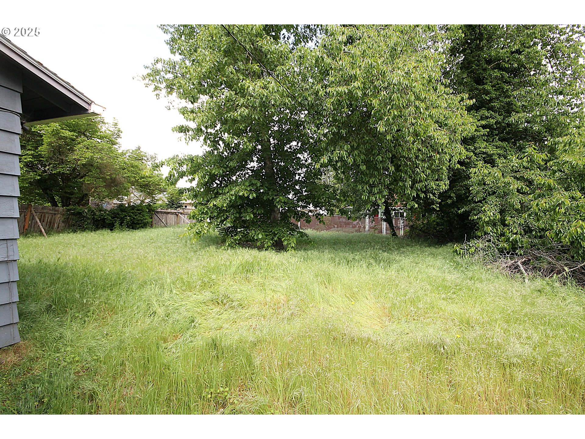 442 Northwest 4th Avenue Canby, OR 97013 - Photo 13 of 39 a view of outdoor space and yard