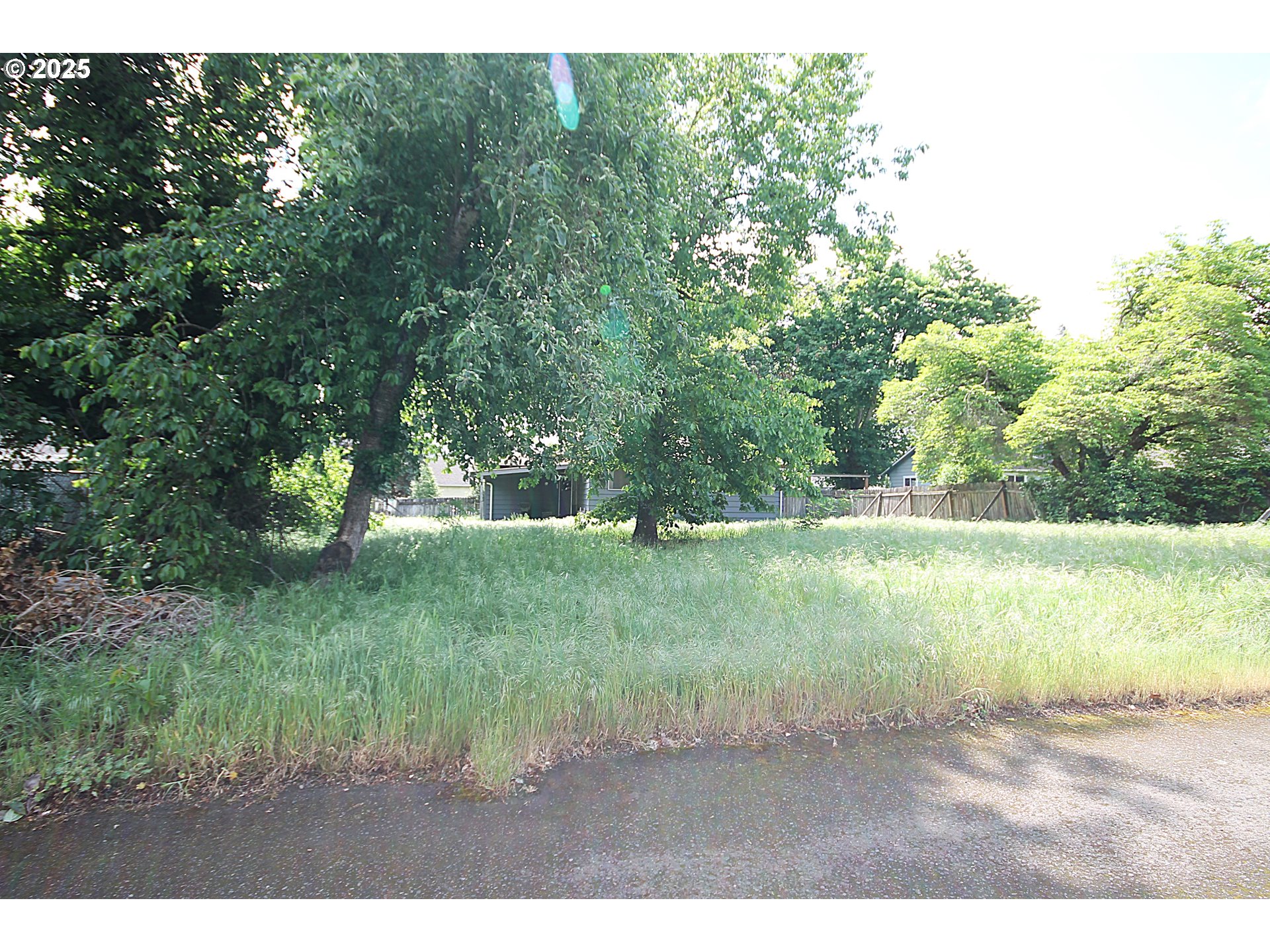 442 Northwest 4th Avenue Canby, OR 97013 - Photo 18 of 39 a view of outdoor space and yard