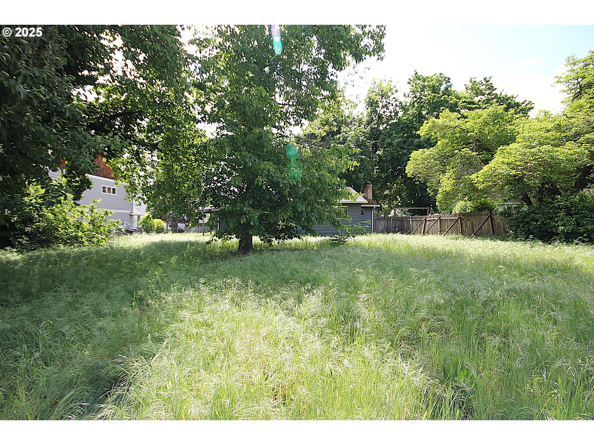 442 Northwest 4th Avenue Canby, OR 97013 - Photo 20 of 39 a view of outdoor space and yard
