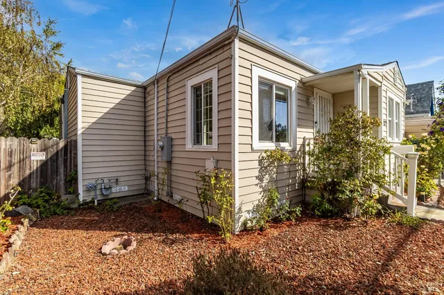 a living room with furniture potted plant and a table