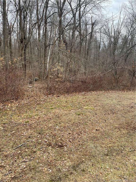 13 Route 66 Columbia, CT 06237 - Photo 1 of 2 a view of a yard with trees