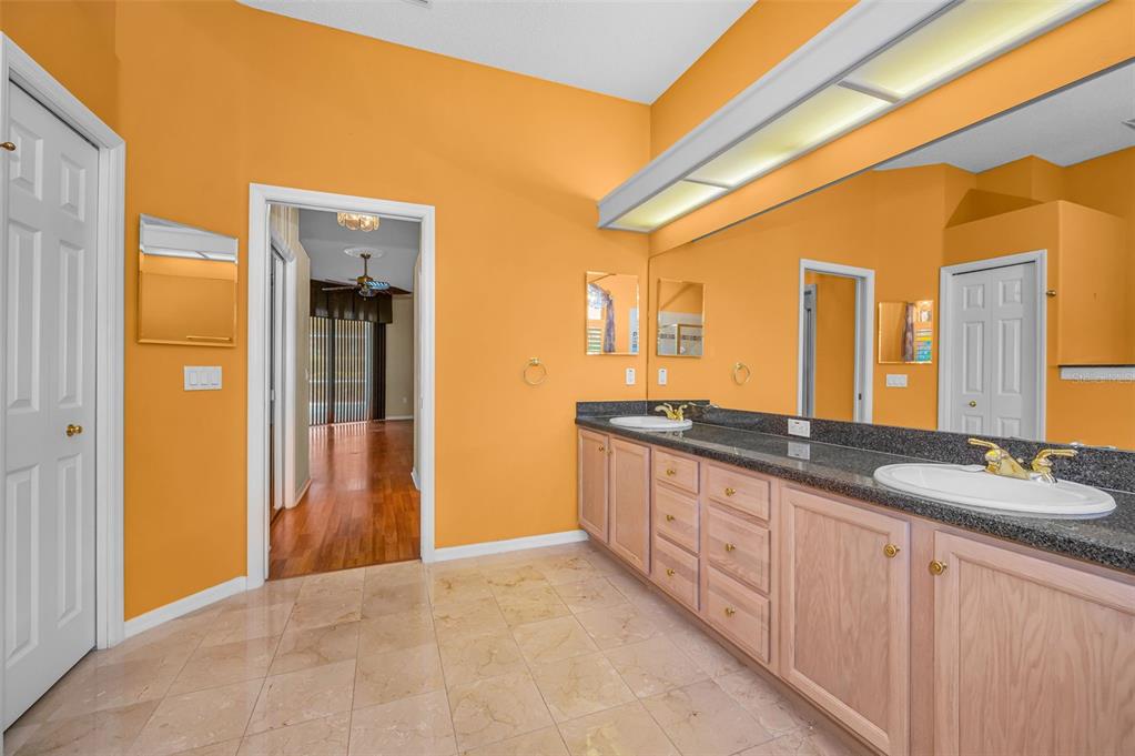 11917 Hadleigh Way Trinity, FL 34655 - Photo 29 of 84 a spacious bathroom with a granite countertop sink and a mirror