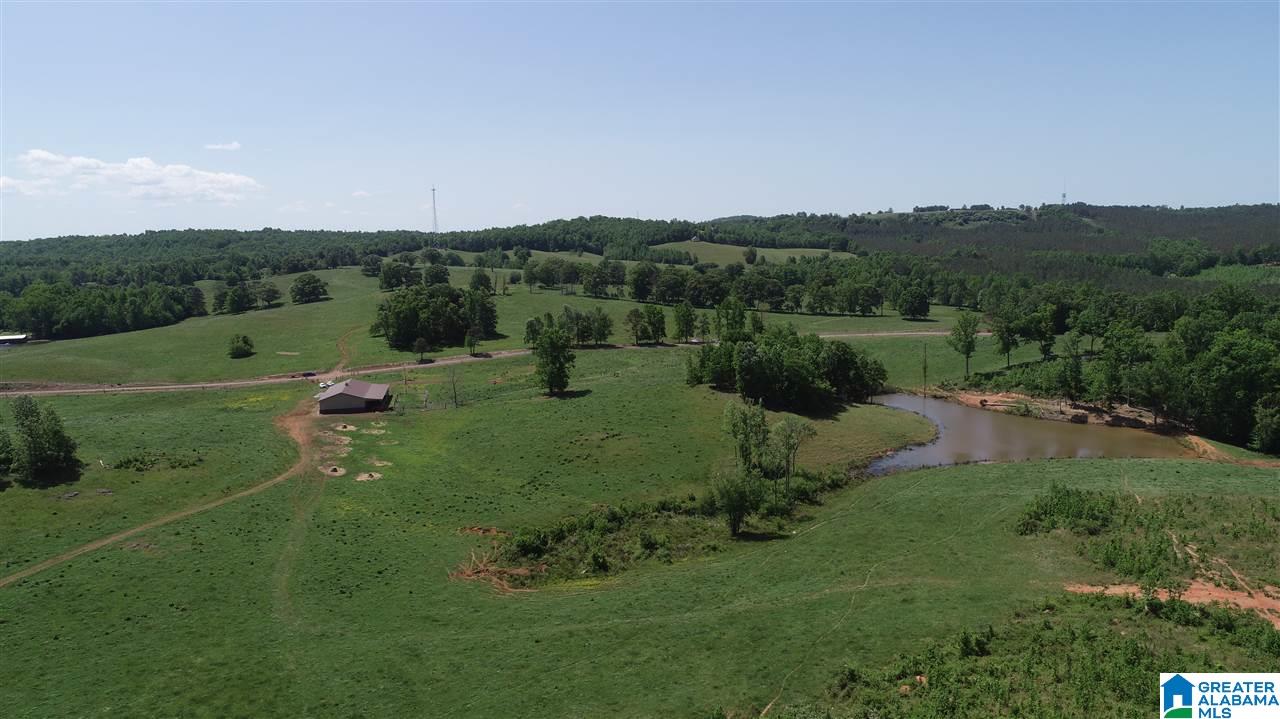 31 County Road Ashland, AL 36251 - Photo 2 of 38