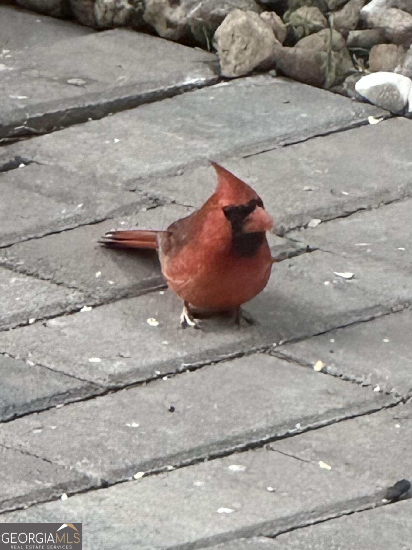 204 East Liberty Savannah, GA 31401 - Photo 59 of 78